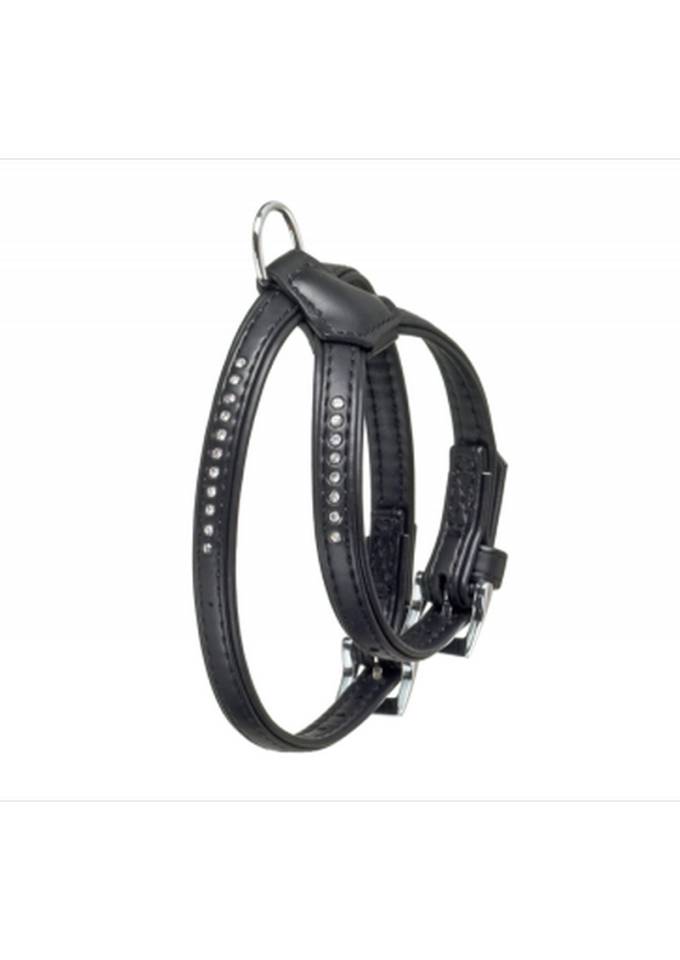 ALP ARNES MUNTI C NEGRE