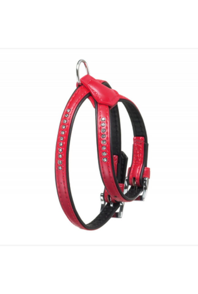 ALP ARNES MUNTI C ROJO