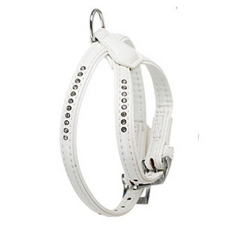 ALP ARNES MUNTI C BLANCO
