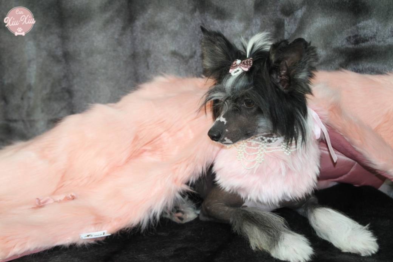 Sweet Dreams amb Borles &Eacute;s una manta &uacute;nica, fabricada 100% artesanalment, 80 x 80 cm.