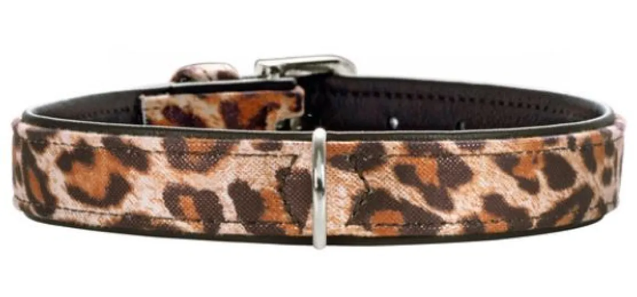 Collaret Lleopard