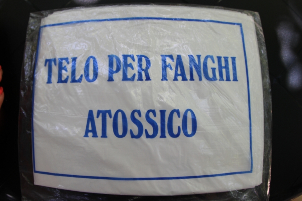Tela atoxica per cobrir el gos durant la mascarilla