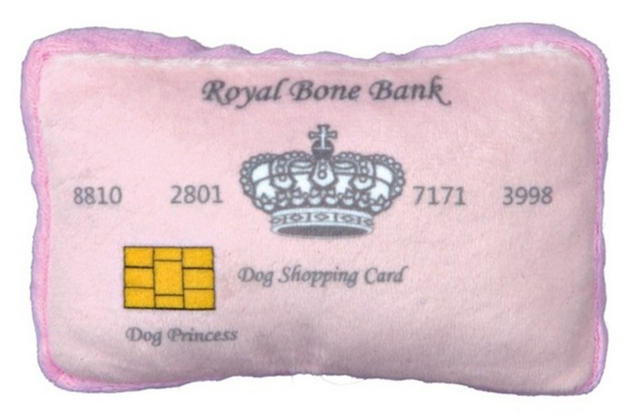 Visa Princesa